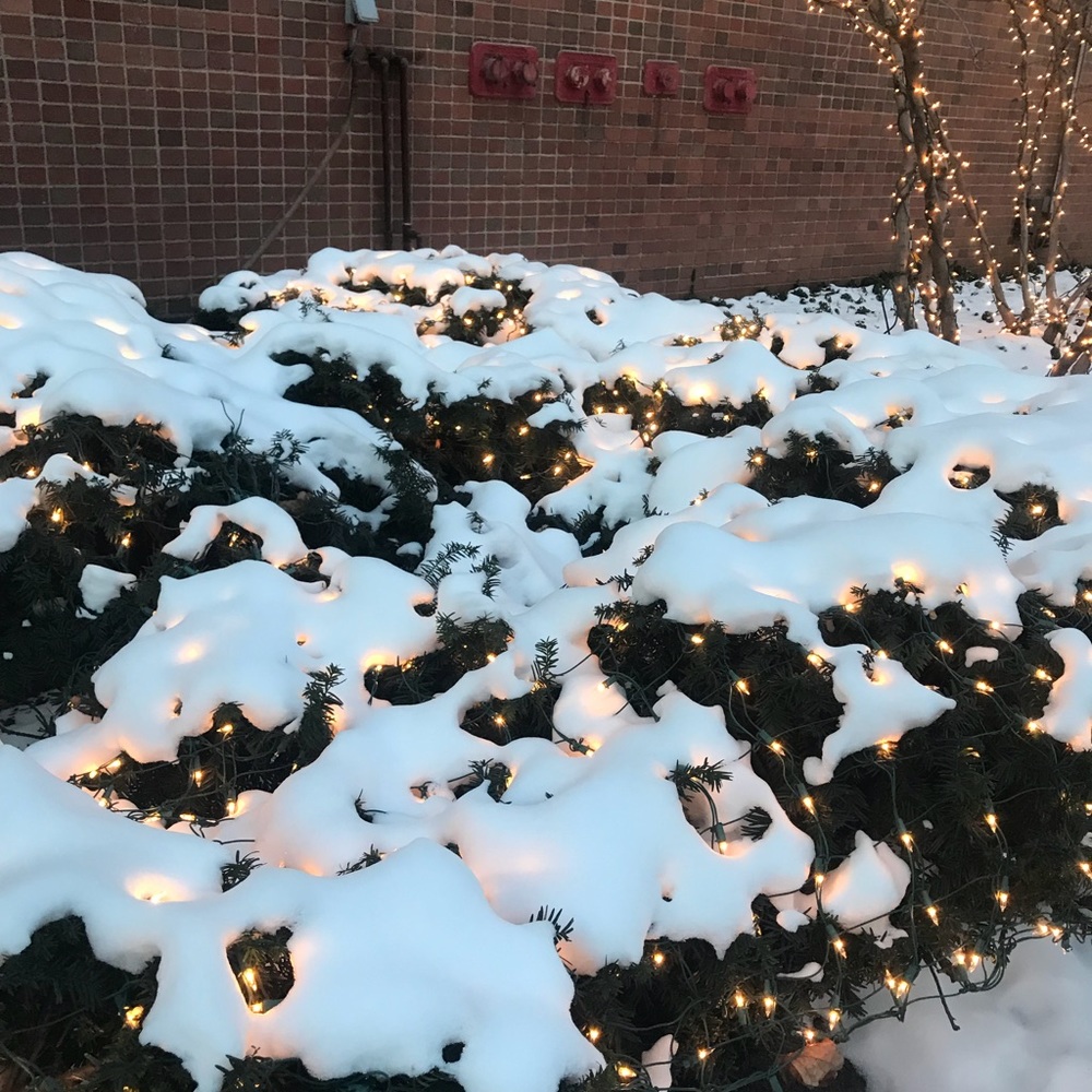 Meet your Posher, Summer